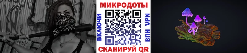 Галлюциногенные грибы Psilocybe  сайты даркнета клад  Цоци-Юрт 