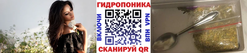 Каннабис планчик  где купить   Цоци-Юрт 